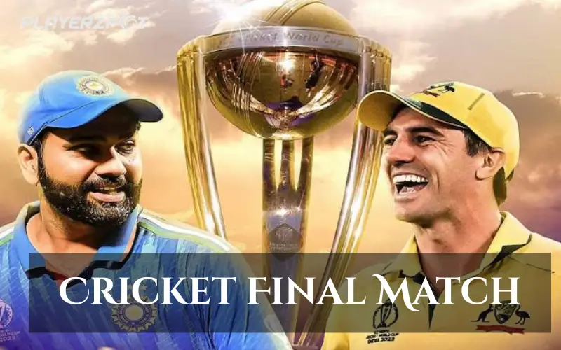 Cricket Final Match